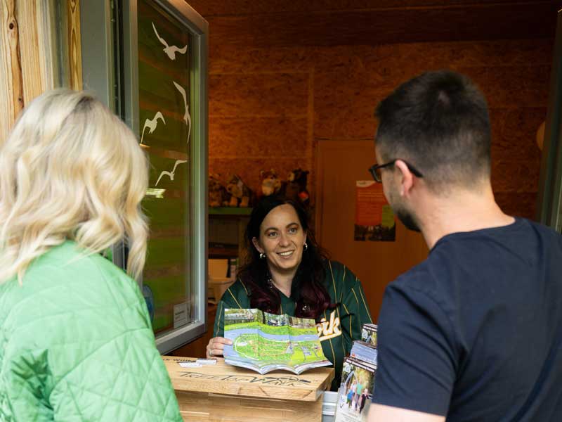 Baumkropnenpfad Hoherodskopf erleben