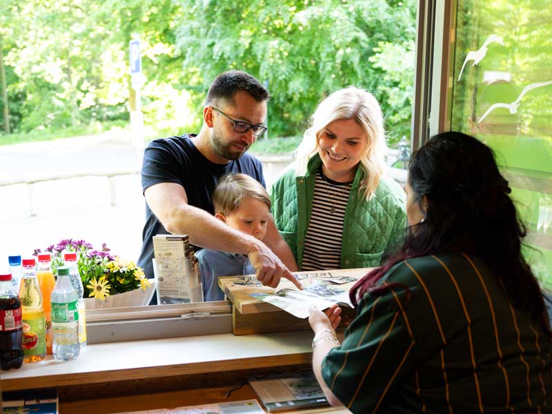 Kletterwald Hoherodskopf erleben
