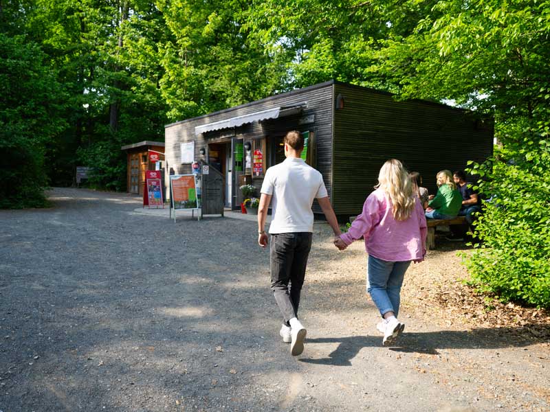 Baumkronenpfad Hoherodskopf erleben