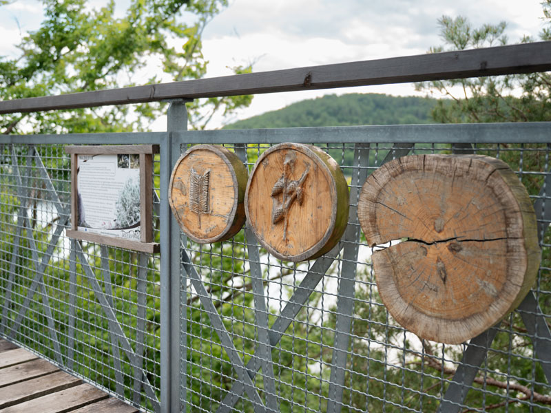 Baumkronenpfad Hoherodskopf erleben