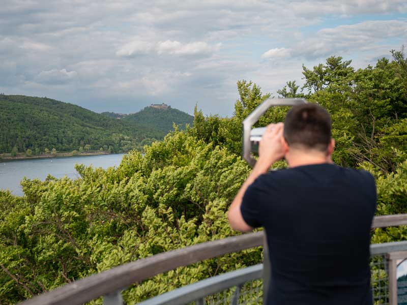 Baumkronenpfad Hoherodskopf erleben
