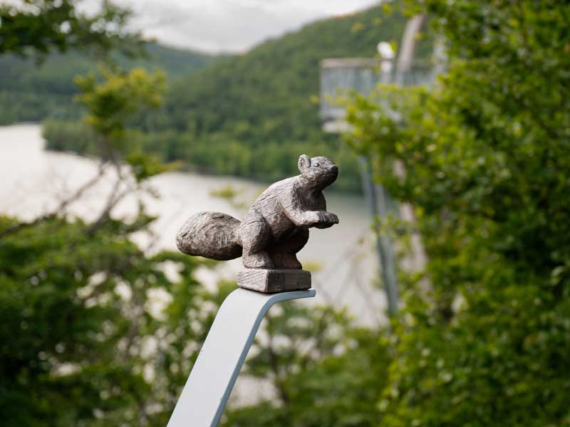 Baumkronenpfad Hoherodskopf erleben