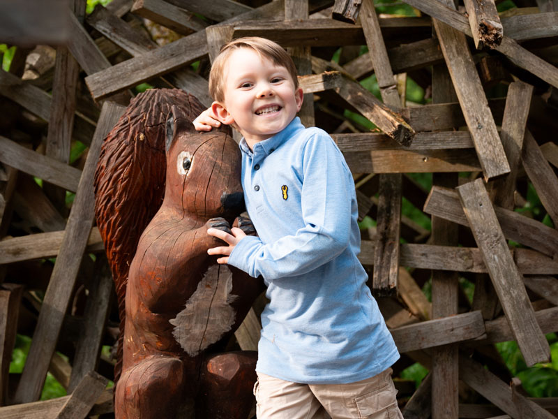 Baumkronenpfad Hoherodskopf erleben
