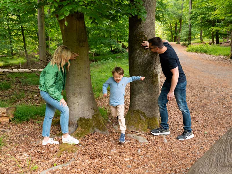 Baumkronenpfad Hoherodskopf erleben
