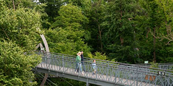 Sicht auf den Baumkronenweg