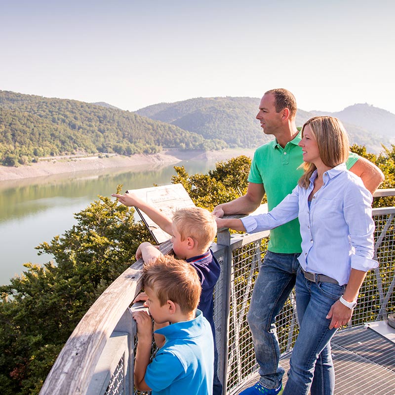 Baumkronenweg Edersee Aussicht