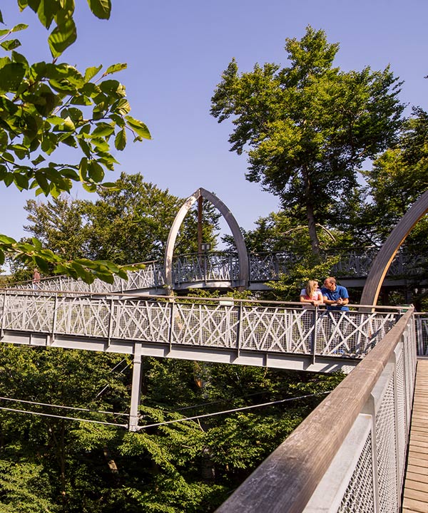 Führungen Baumkronenweg Edersee