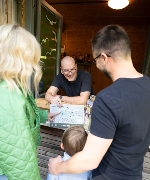 Preise Baumkronenweg Edersee