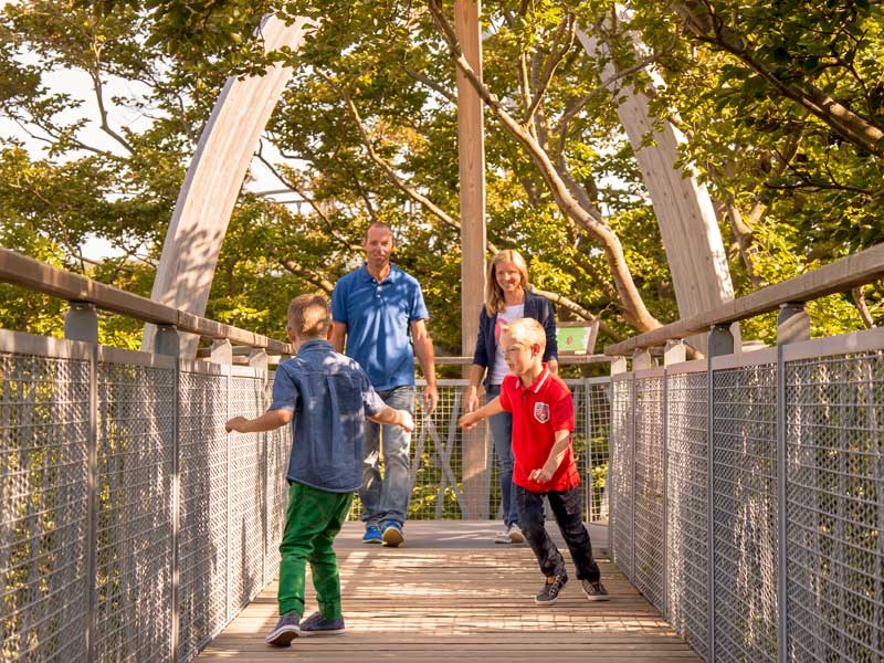 Baumkronenpfad Hoherodskopf erleben