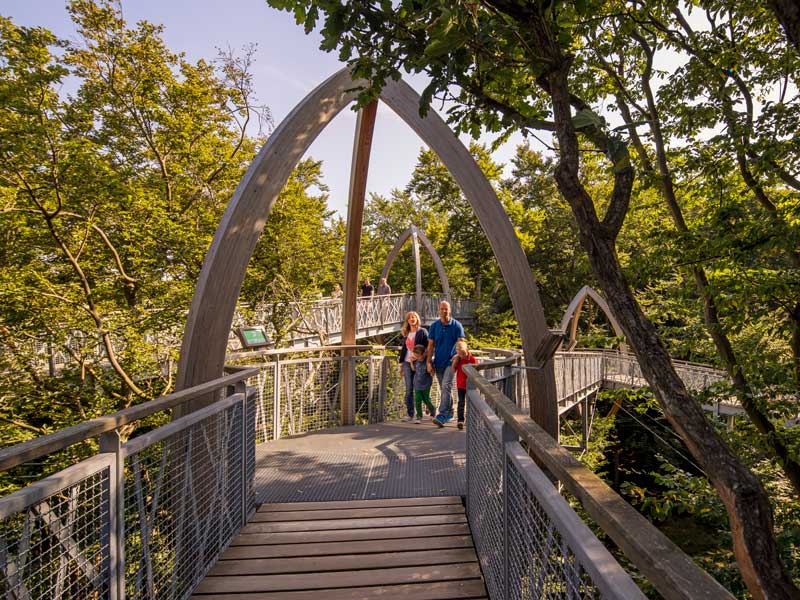 Baumkronenpfad Hoherodskopf erleben