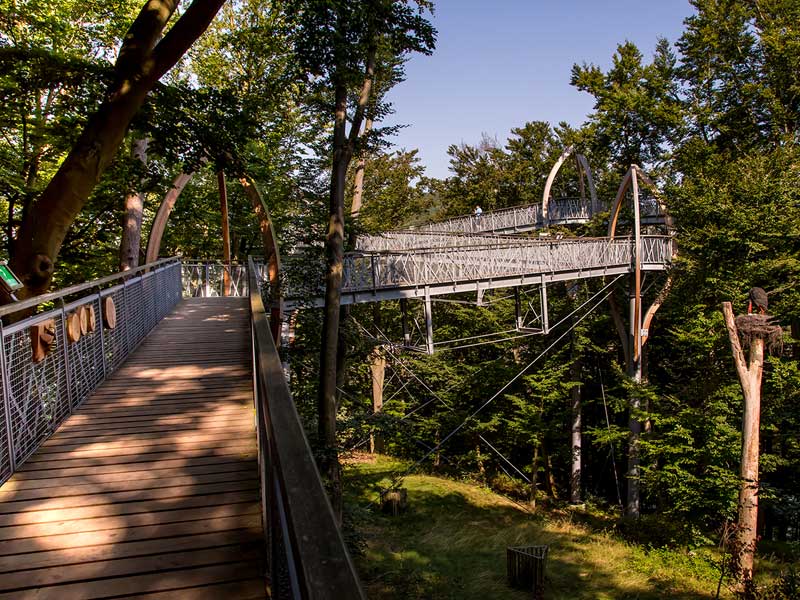 Baumkronenpfad Hoherodskopf erleben