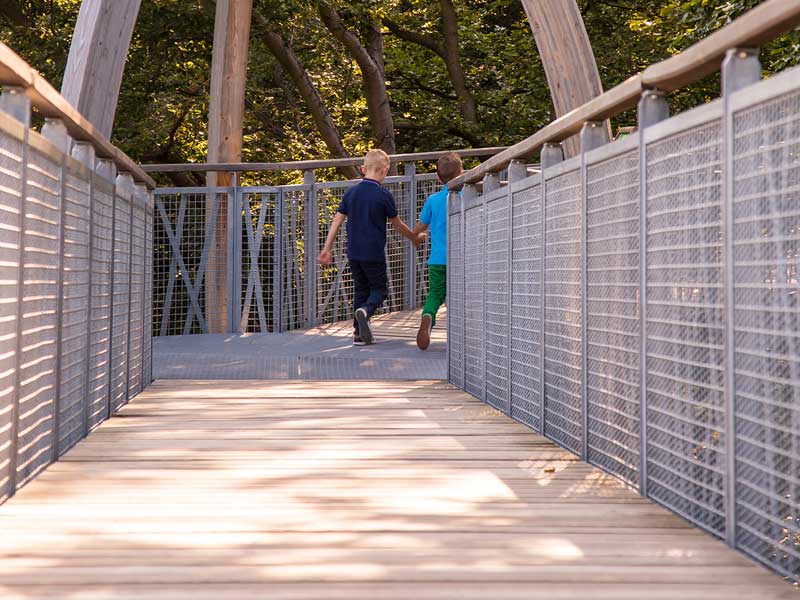 Baumkronenpfad Hoherodskopf erleben