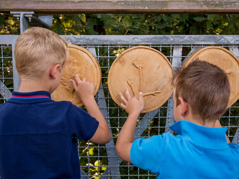 Kletterwald Hoherodskopf erleben