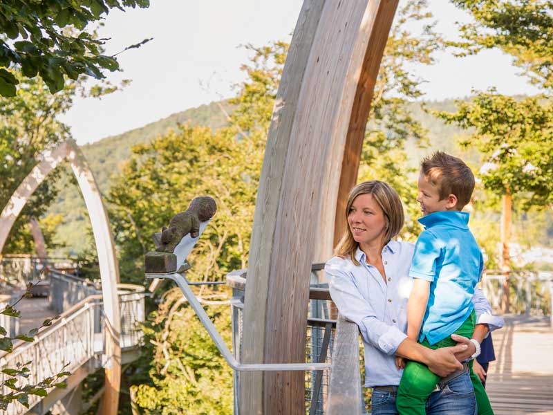 Baumkronenpfad Hoherodskopf erleben