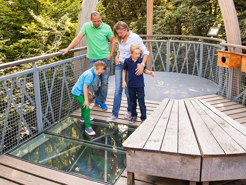 Kletterwald Hoherodskopf erleben