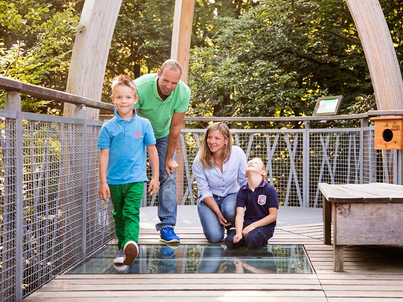 Kletterwald Hoherodskopf erleben