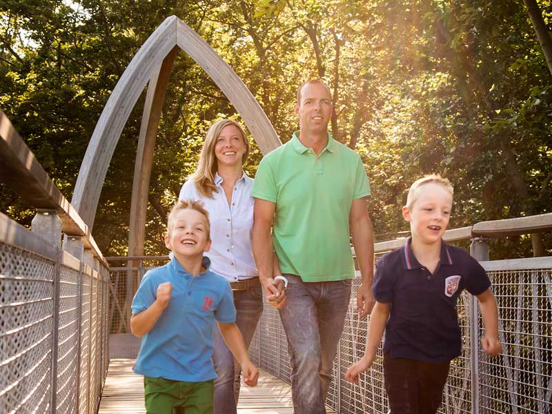 Baumkronenpfad Hoherodskopf erleben