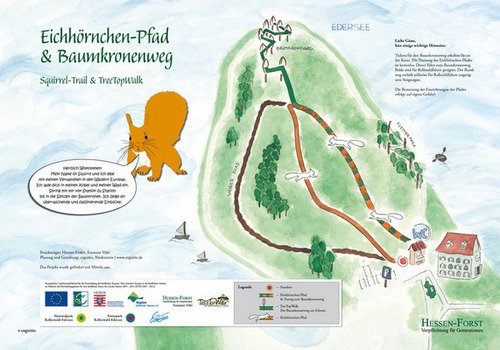 Eichhörnchenweg am Baumkronenweg Edersee